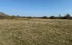 Przetarg na dzierżawę działki w Białobrzegach 23