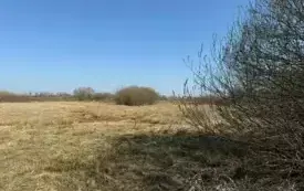 Przetarg na dzierżawę działki w Białobrzegach 76