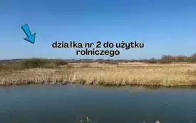 Przetarg na dzierżawę działki w Białobrzegach rr