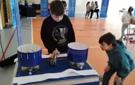Sucha naukobus 2