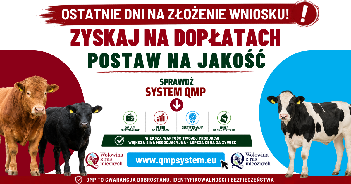 Ekoschemat &bdquo;Dobrostan zwierząt&rdquo; Dodatkowe pieniądze dla hodowc&oacute;w z&nbsp;QMP &ndash; tylko do 1 czerwca!