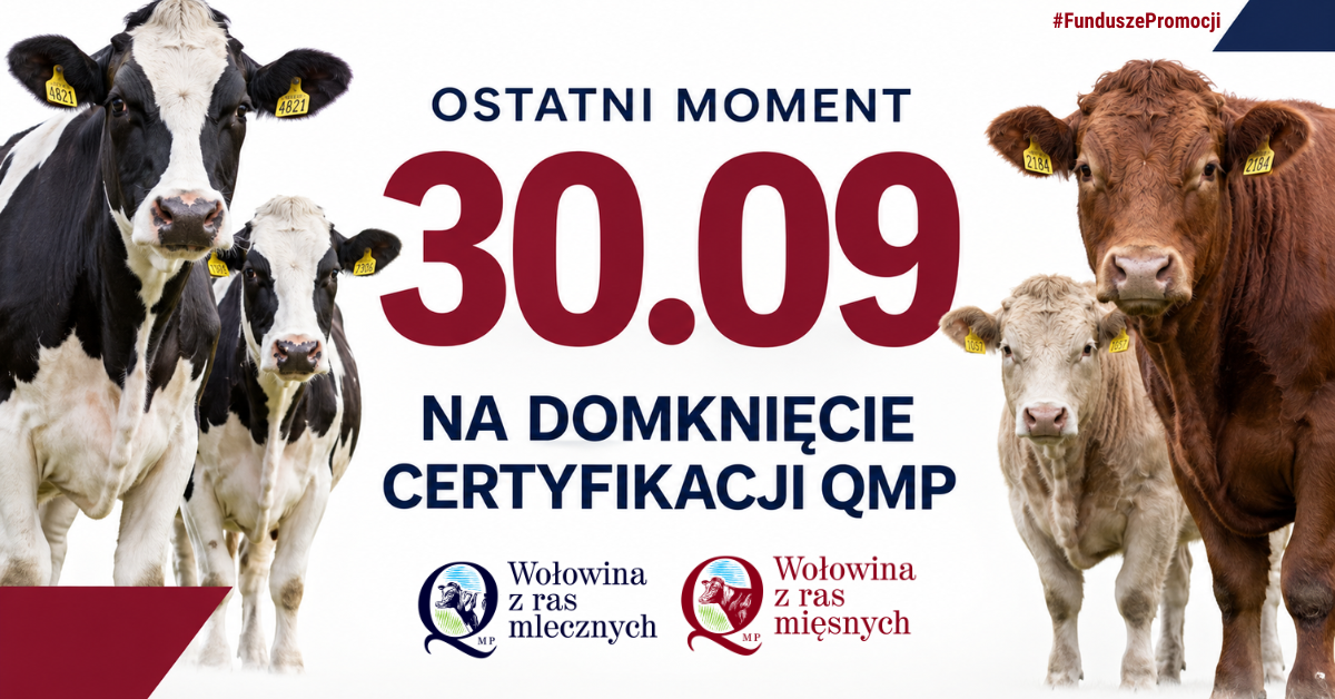 Certyfikat QMP &mdash; termin uzyskania upływa 30 września 2026 r.
