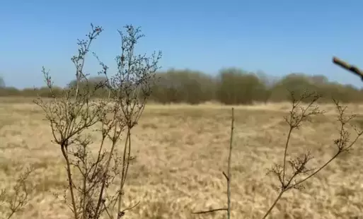 Przetarg na dzierżawę działki w Białobrzegach 