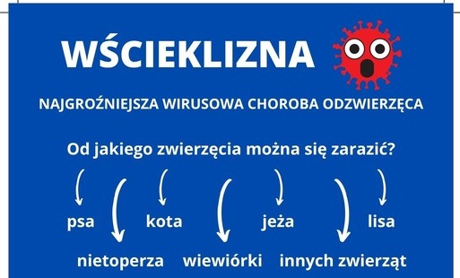 Uważaj na dziwne zachowanie zwierząt w lesie!