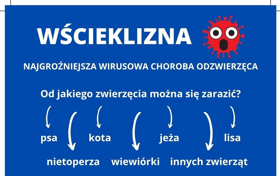 Ostrzeżenie: dziwne zachowanie dzikich zwierząt w lasach – nie dotykaj i zgłoś służbom